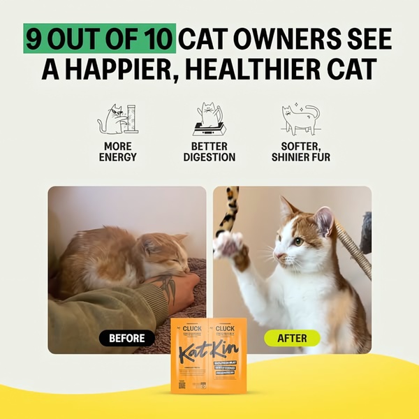 A square ad creative featuring a before-and-after photo comparison of a cat's health improvements, supplemented by clear benefit icons.